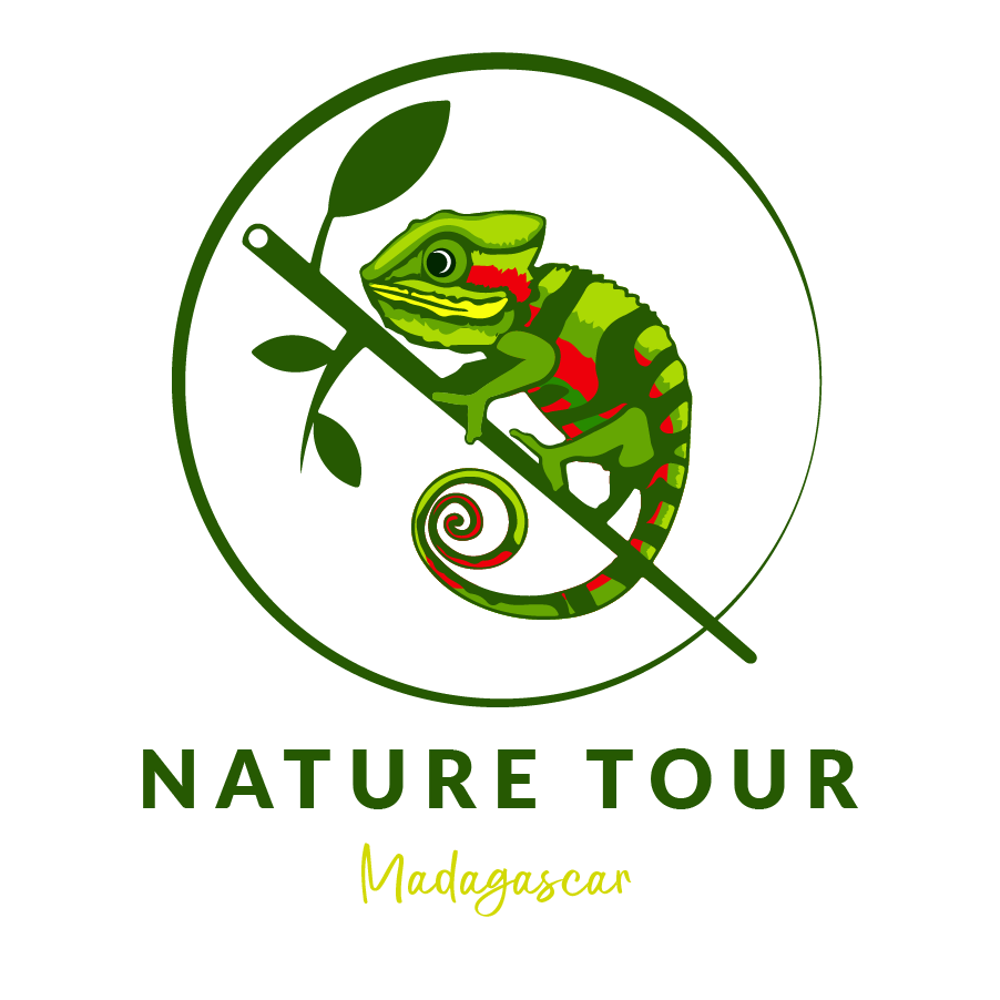 Nature Tour Madagascar